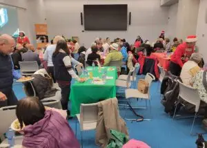 Seniors Connections Program