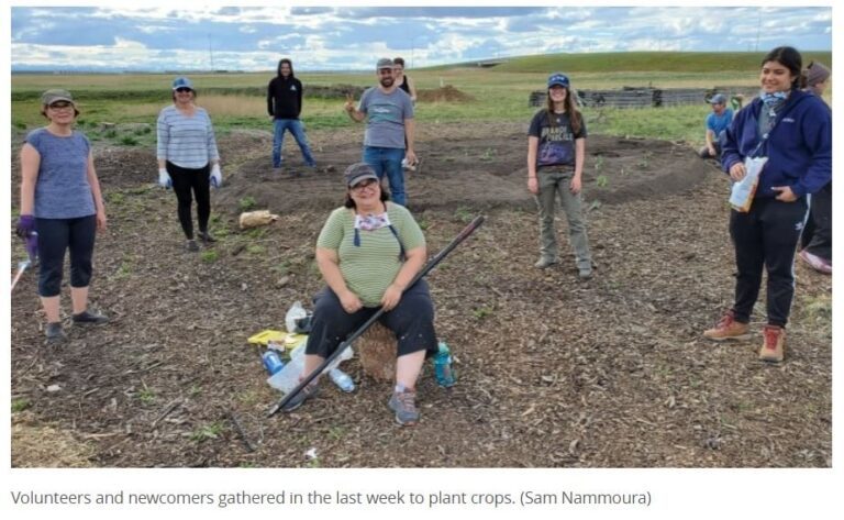 ‘Land of Dreams’: a space for newcomers to grow crops and respect Indigenous roots